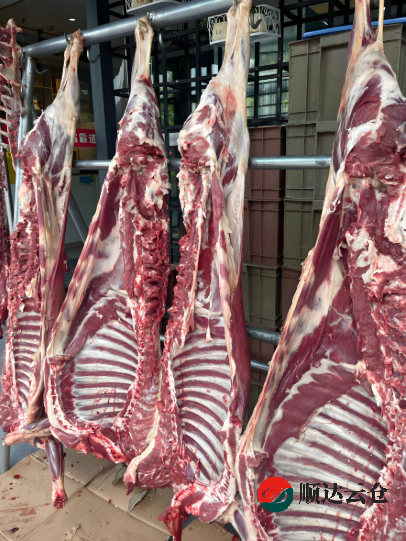 羊產(chǎn)品冷鏈倉儲運營難題怎么破?天津順達云倉來支招!